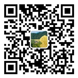 实亿国际app